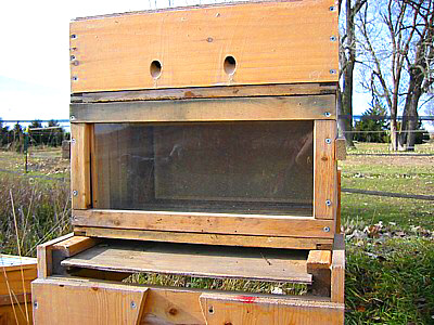 Langstroth Deep Observation Hive