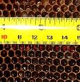 Beekeeping, 4.7mm Comb Measurement