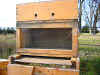 Langstroth-Beobachtungsstock (tief). Bienen auf den Tragleisten. 10 Rahmen.  